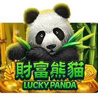 lucky panda